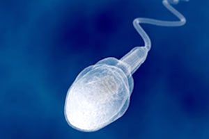 Centre-de-Fertilité-PMA_Accueil_Congélation-de-sperme---300x200