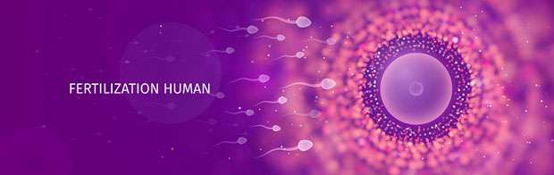 Centre-de-Fertilité-PMA_Accueil_Qu’est-ce-que-la-PMA---620x196