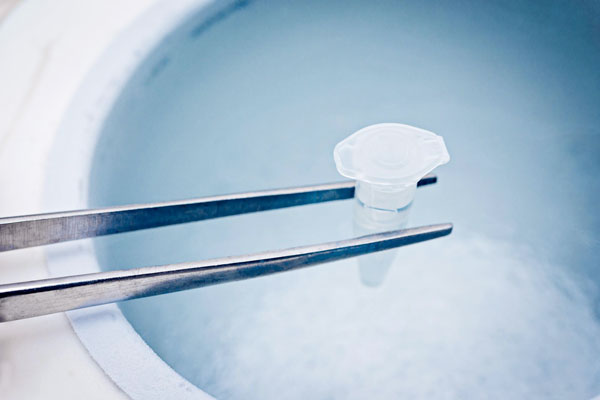 Centre-de-Fertilité-PMA_Traitement-et-PMA_Préservation-de-la-fertilité---600x400